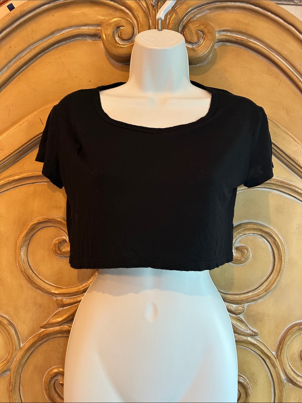Women's Black Short Sleeve Crop